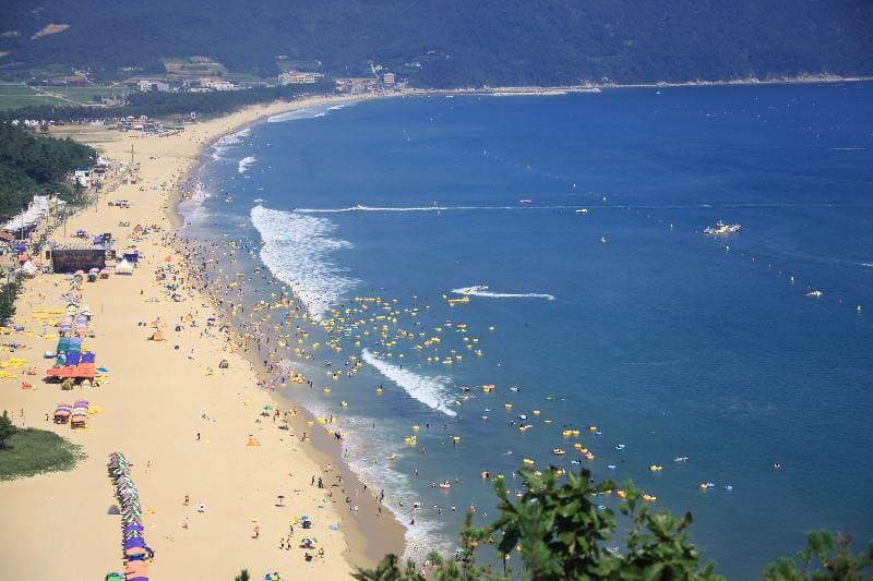 신지명사십리 해수욕장