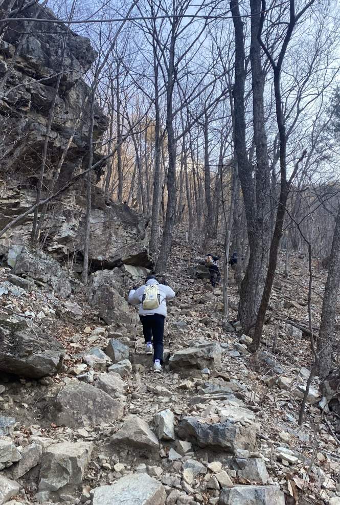 스틱을 짚고 산을 올라가는 모습