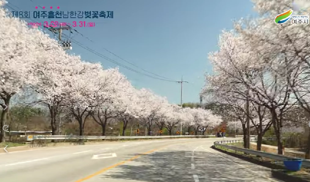 전국 벚꽃 봄꽃 축제 추천 Best 5