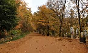 대전 가볼 만한 곳