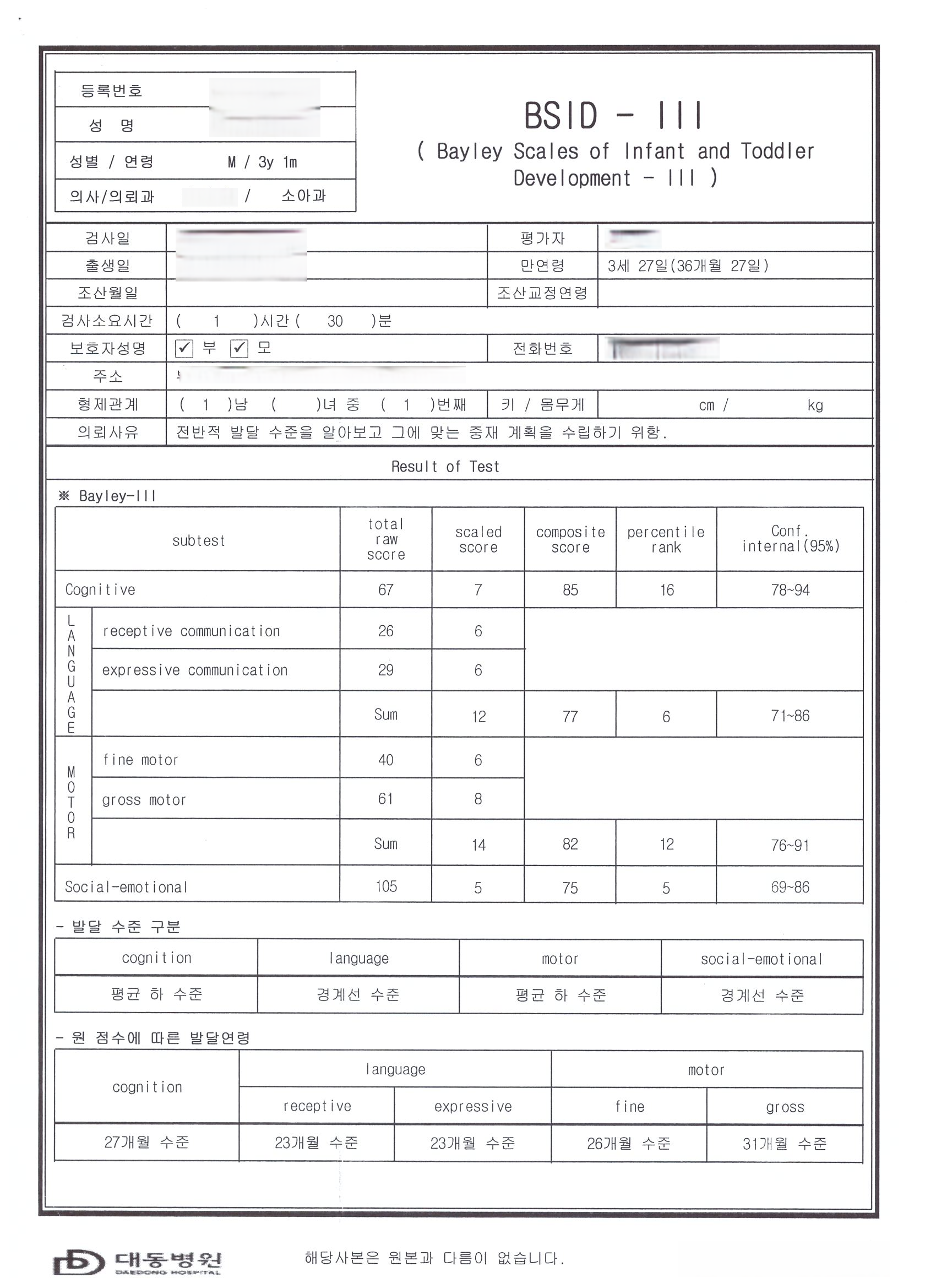 베일리검사 결과지(예시)