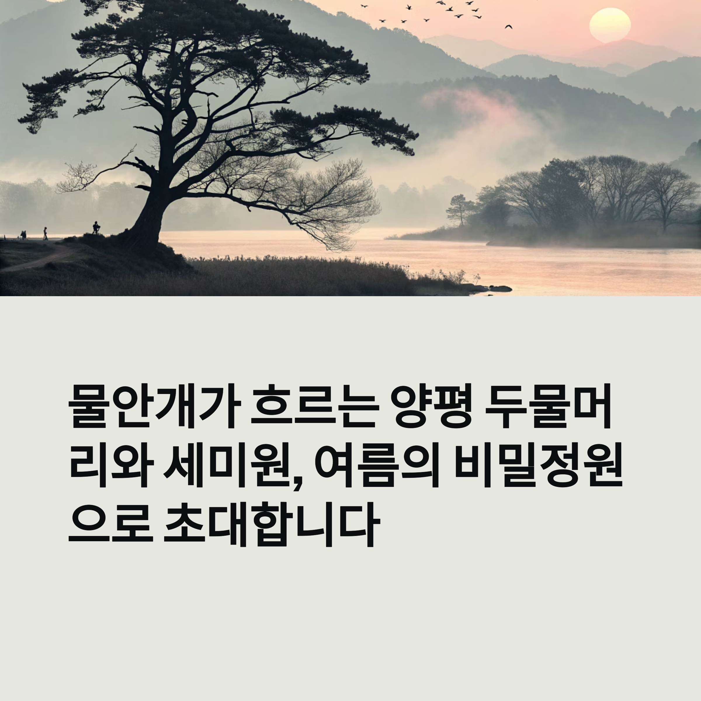 양평 두물머리 &amp; 세미원, 연꽃이 피어나는 수생 식물 천국