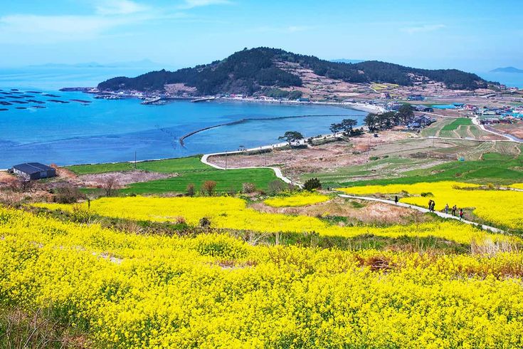 제주여행 탐나는전 할인 캐시백 발급방법