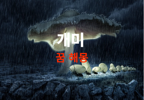 개미 꿈 해몽 썸네일