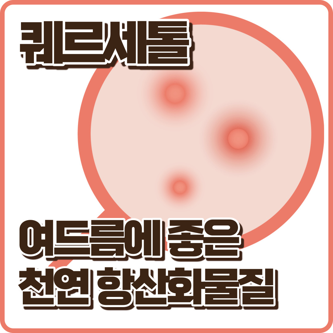 퀘르세톨