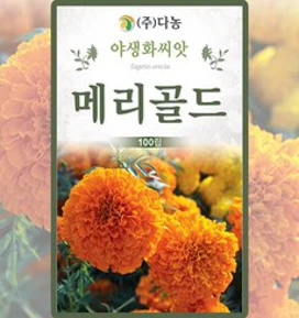 아프리칸메리골드 씨앗 100립 꽃씨앗 꽃씨 종자&#44; 1개