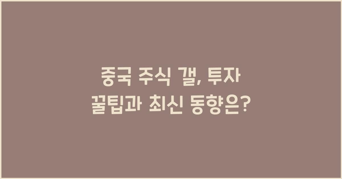 중국 주식 갤