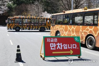 대전 늑대 동물원 오월드 탈출 퓨마 포획 상황