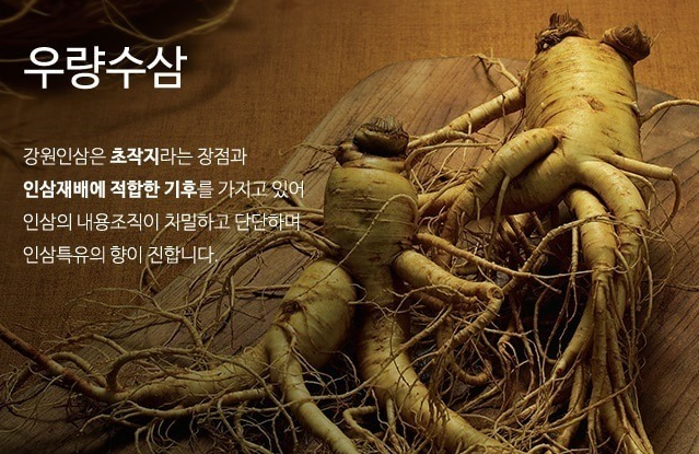 강원인삼농협
