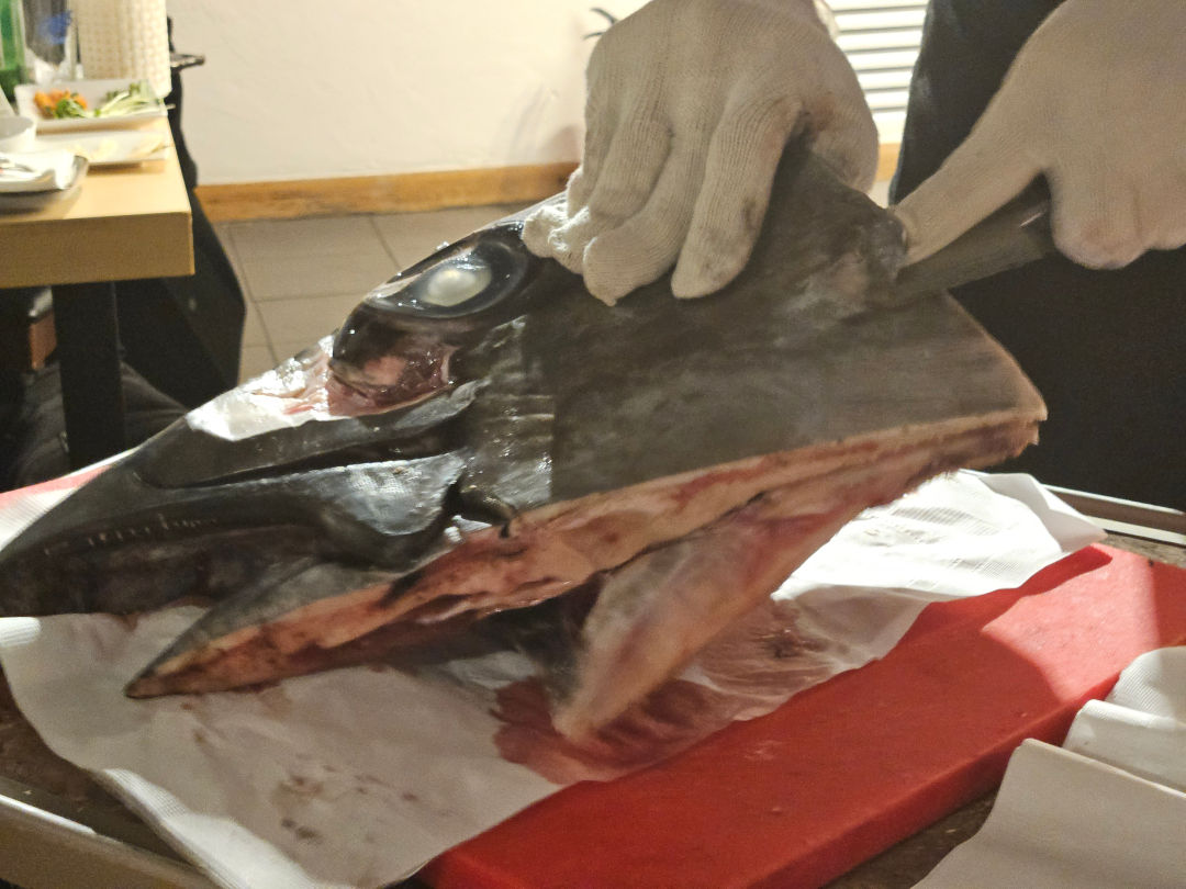 참치여왕 김기정 참치머리