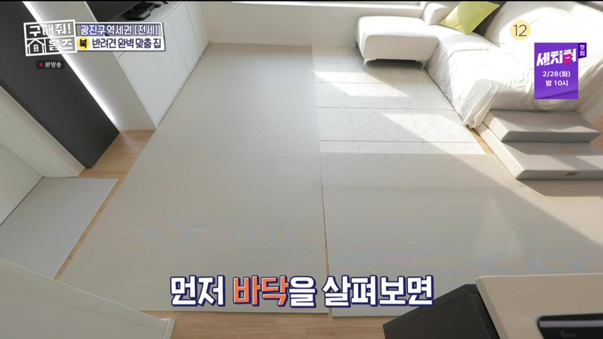 구해줘홈즈 댕댕하우스 동물병원 인접 서울시 광진구 중곡동 전세 매매 매물 가격 및 구조 인테리어 리모델링 최종선택 더보이즈 영훈 현재 소개