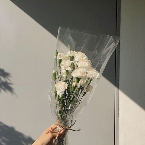 초록색 감성사진