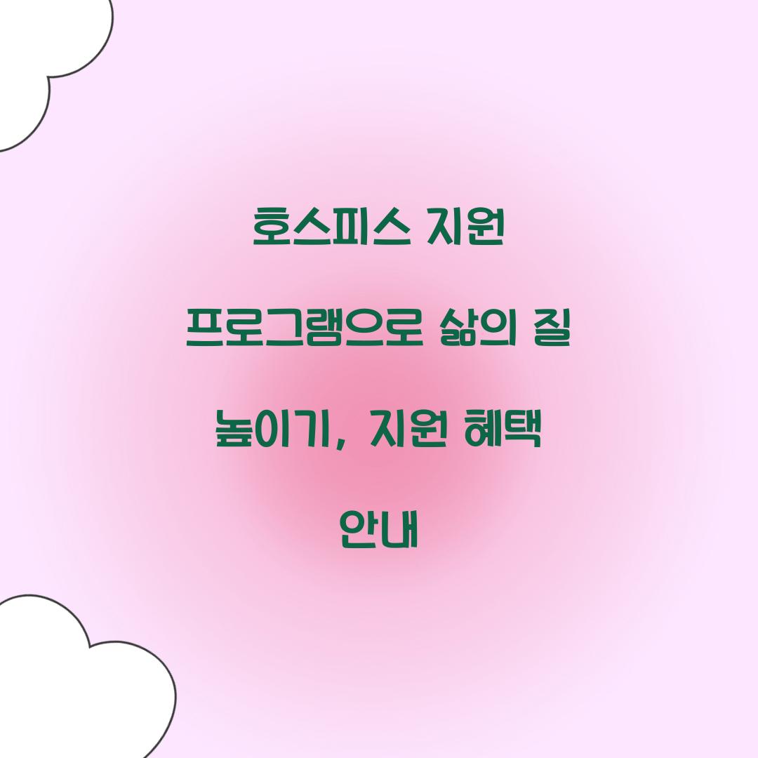 호스피스 지원 프로그램