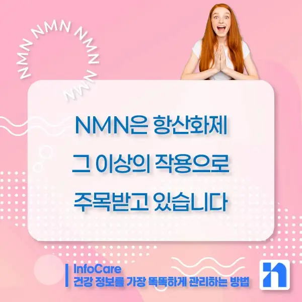 NMN 효능 효과 복용법