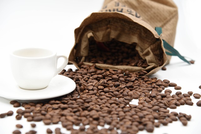 아라비카 로부스타 비교