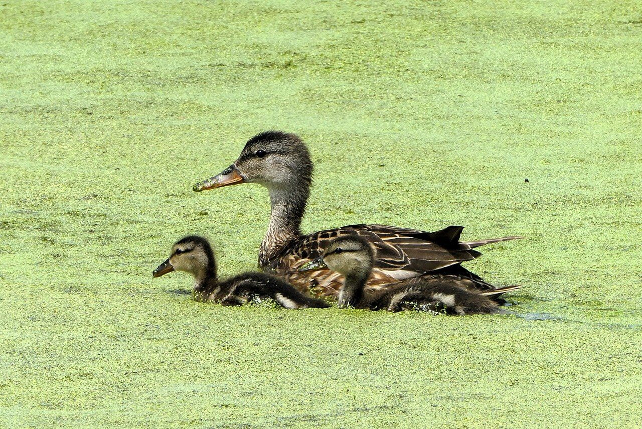 한부모 가족 지원금 신청 및 자격 총정리