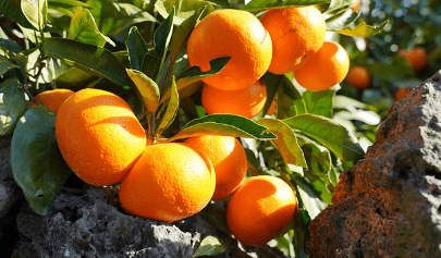 제주도 가볼만한곳 10곳