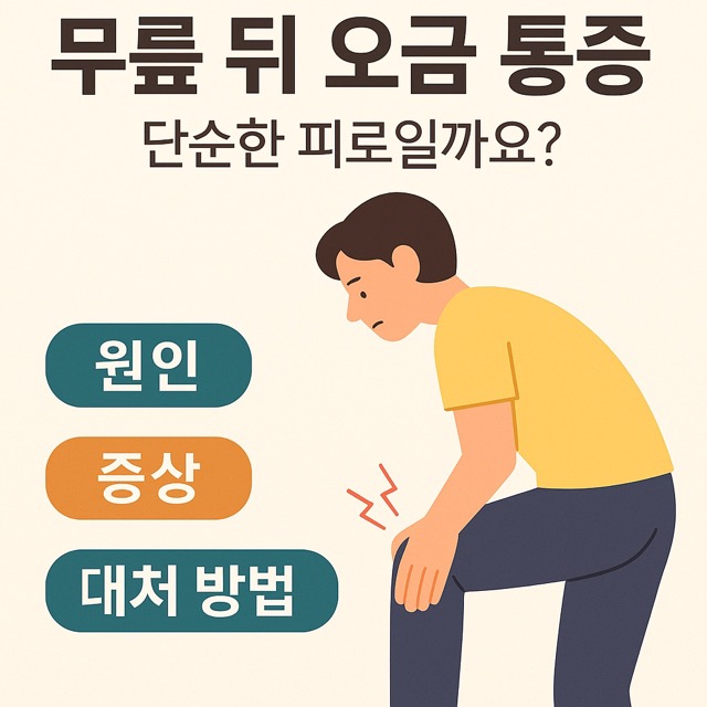 무릎 뒤 오금 통증의 원인, 증상, 대처법을 쉽게 정리한 인포그래픽(출처: 자체제작)