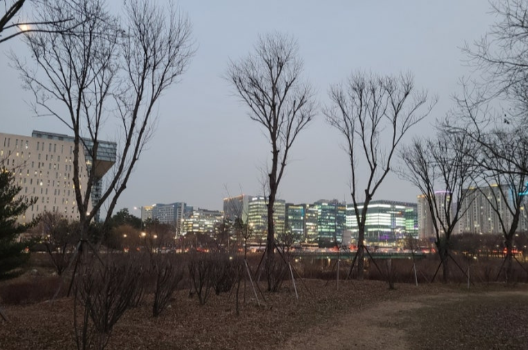 성남 반려견 겨울 산책 명소 BEST 5, 강아지와 걷기 좋은 실제 코스