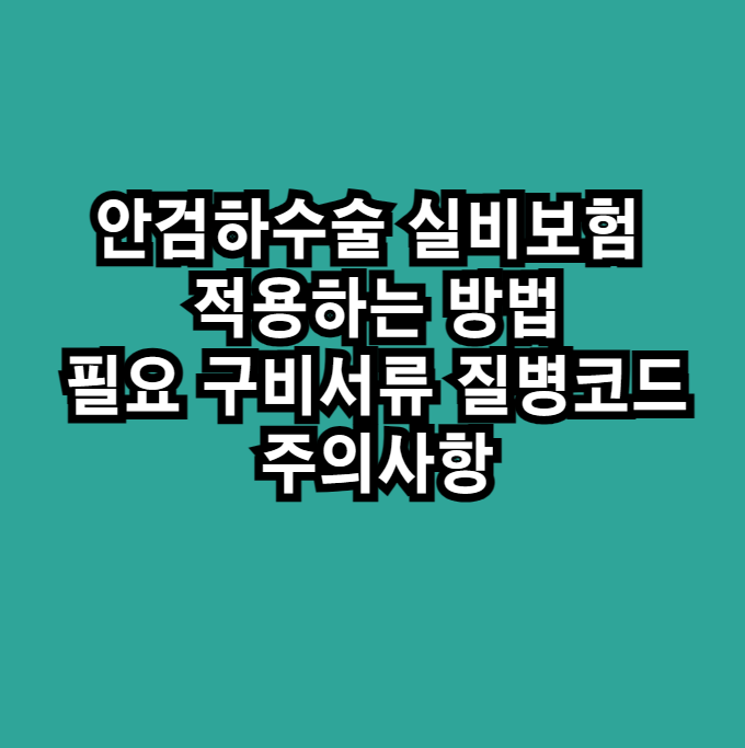안검하수술실비보험청구방법