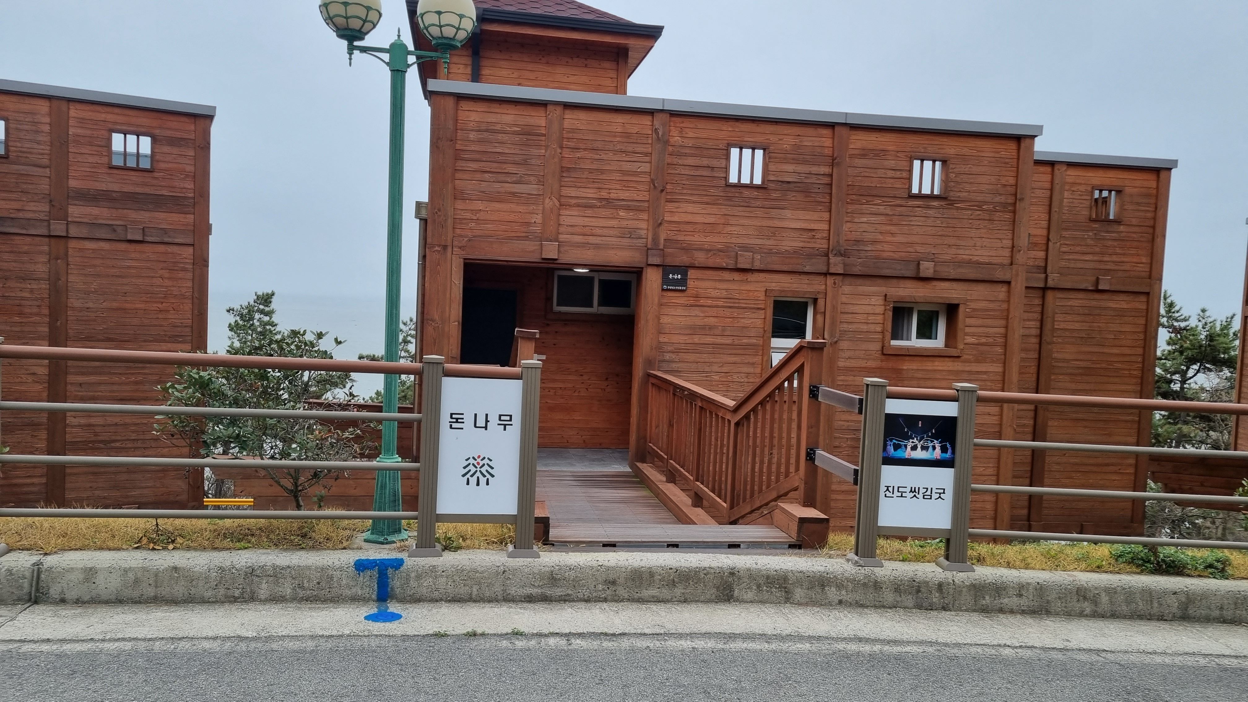 진도자연휴양림 산림문화휴양관 돈나무 모습