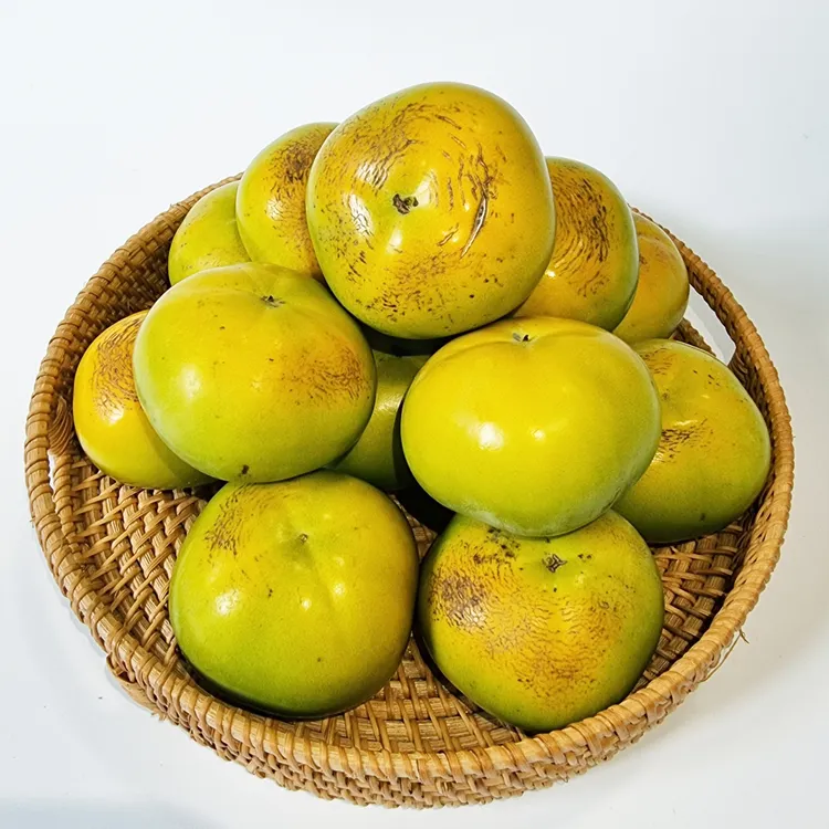 태추단감 이란 아직도 그냥 단감이라고 생각하세요 feat 일반 단감과 완벽 비교 분석으로_2