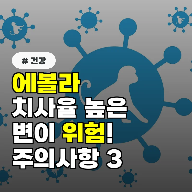치사율 높은 에볼라 변이, 초기 증상 놓치면 위험! 주의사항 3가지