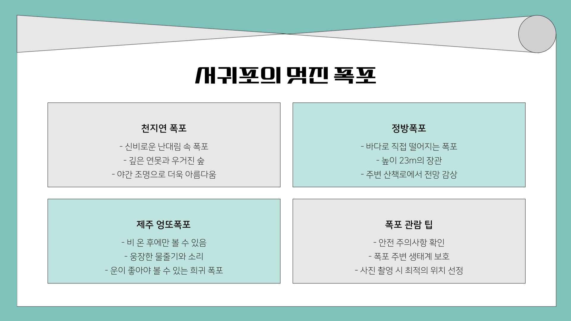 3월 제주도 가볼 만한 곳 10곳! 벚꽃, 유채꽃, 드라이브까지 완벽한 여행