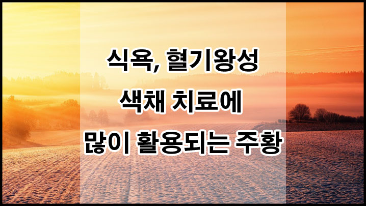 활용이 많이되는 색