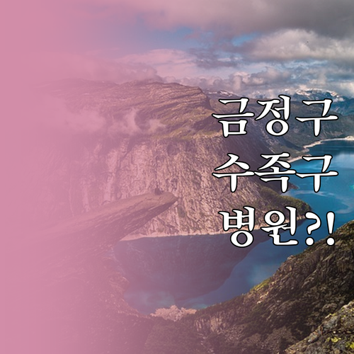 금정구 수족구 진료 병원 찾기 및 Q..