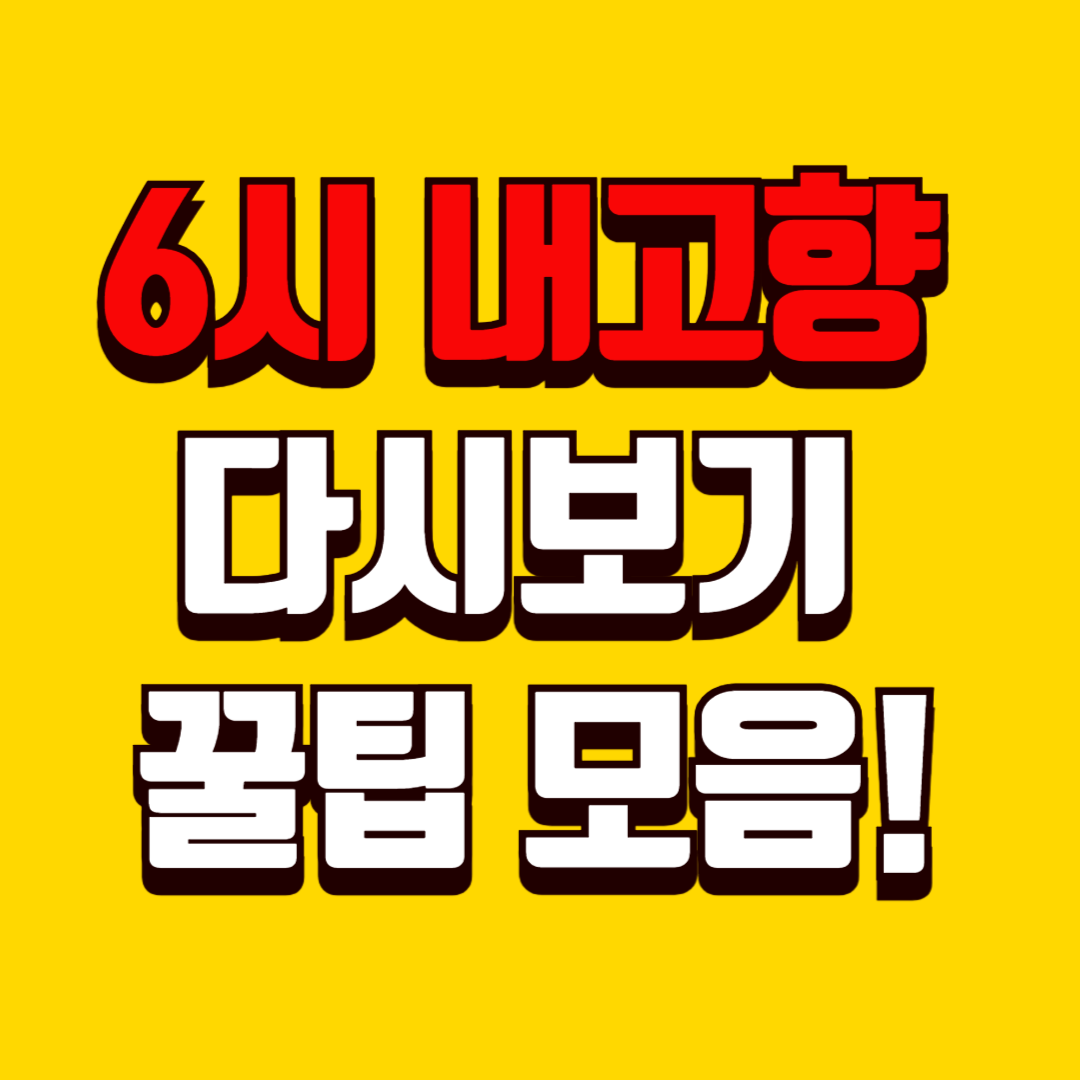 6시 내고향 다시보기로 고향 감성 느껴보세요