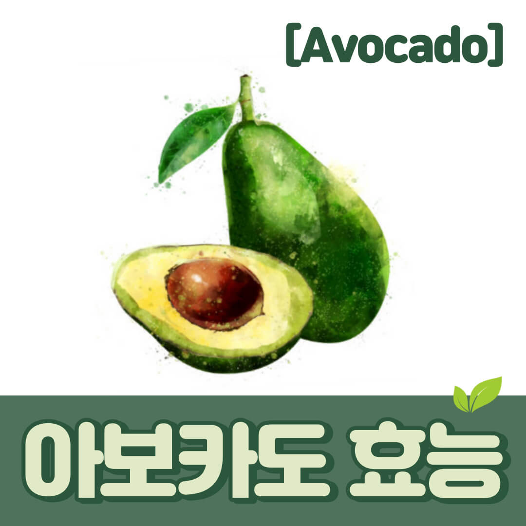 아보카도