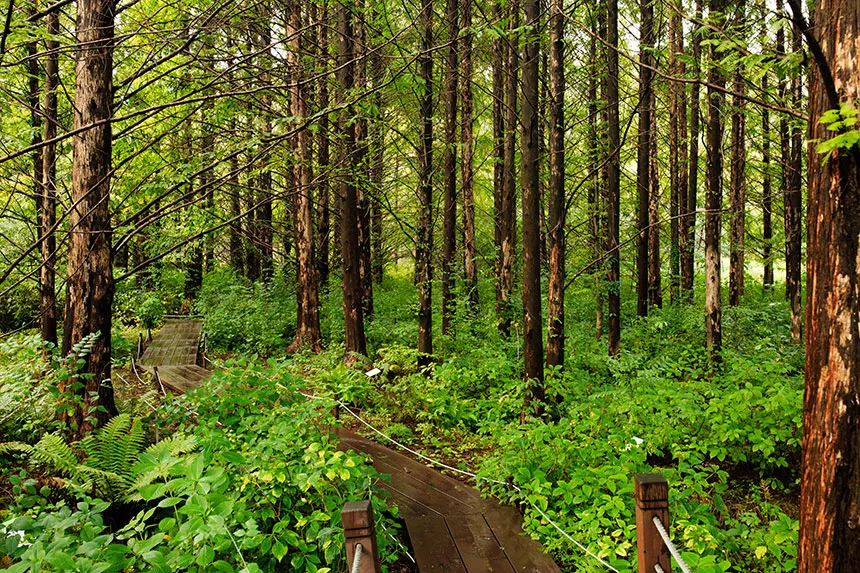 자연휴양림 예약정보시스템 바로가기 완벽 이용 가이드_7