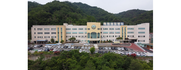 성주군 불면증