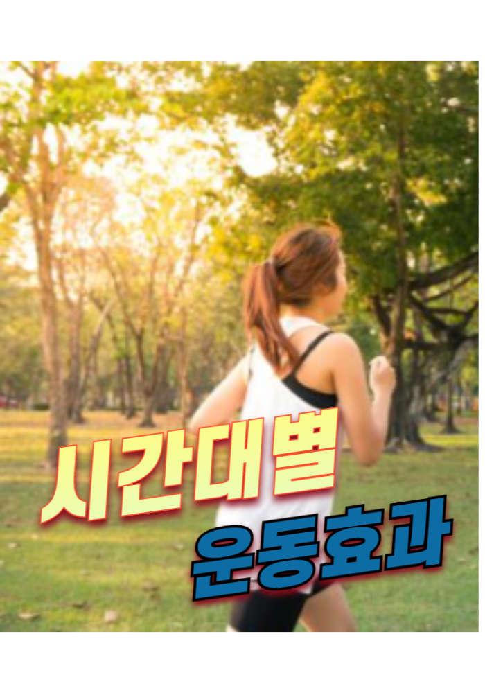 1.시간대별 운동효과