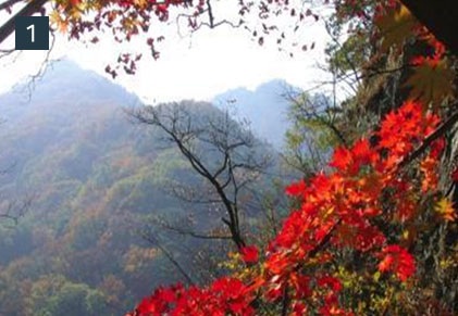 동두천 소요산, 소요산 단풍, 소요산 가을여행, 소요산 가볼만한곳, 소요산 등산코스, 소요산 가을 단풍, 소요산 나들이, 소요산 주차장, 소요산 입장료, 동두천 가을여행