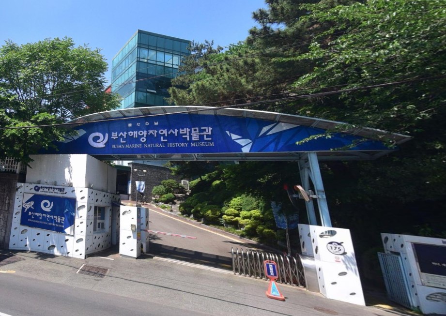 부산 해양자연사박물관 입구 모습 사진