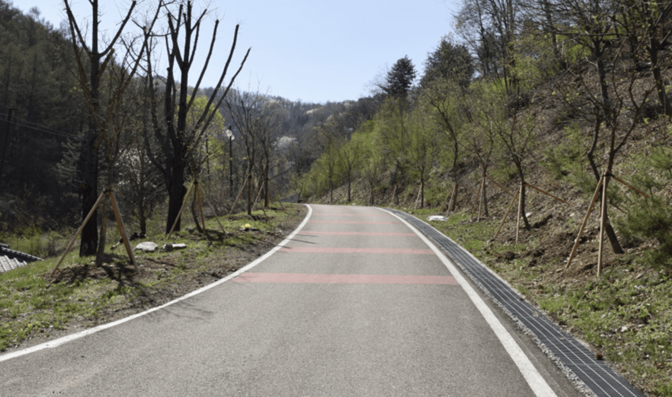 양평 남겨서 뭐 하게 맑은숲캠프