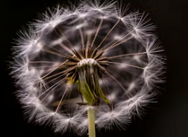 62년생 국민연금 수령나이 수령시기