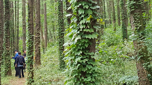 동해 가볼만한곳