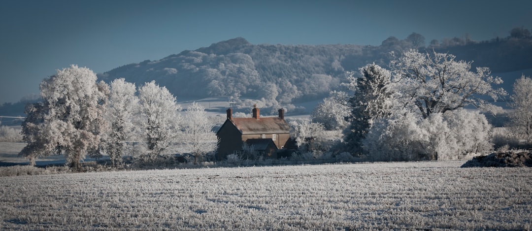 Frost