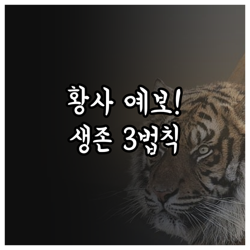 황사 예보 지도 읽는 법과 실생활 대..