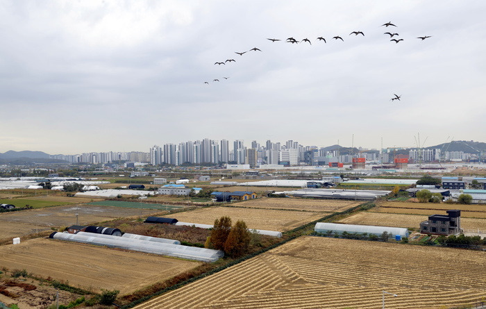 김포아라지구 3만7000가구 공공주택 신규택지 발표 현장 전경 2026년 10월 29일