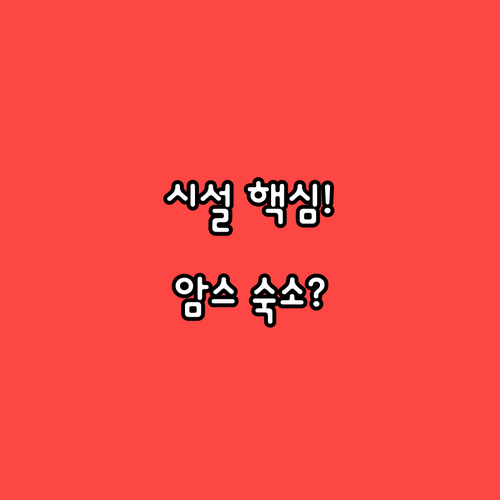암스테르담 여행 맞춤 숙소 추천 6선..