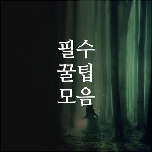 해양수산부 2025 수산물 물류 지원..