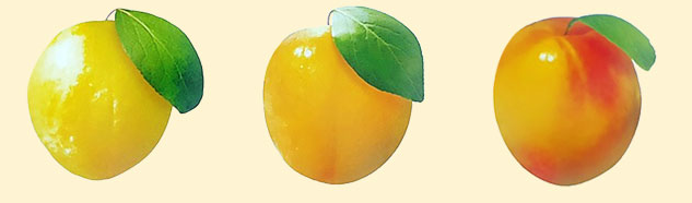 망고링의 맛과 영양소