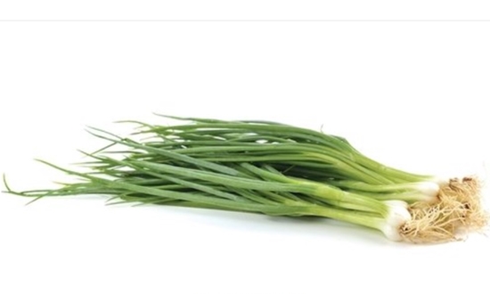 쪽파 언제 심어요? 가을 쪽파 봄 쪽파 심는 시기/종구/심는 방법/수확/보관