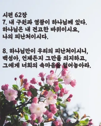 시편 77장 14절 읽기 - 주는 기사를 행하시는 하나님이시라 민족들 중에 주의 능력을 알리셨으며_7