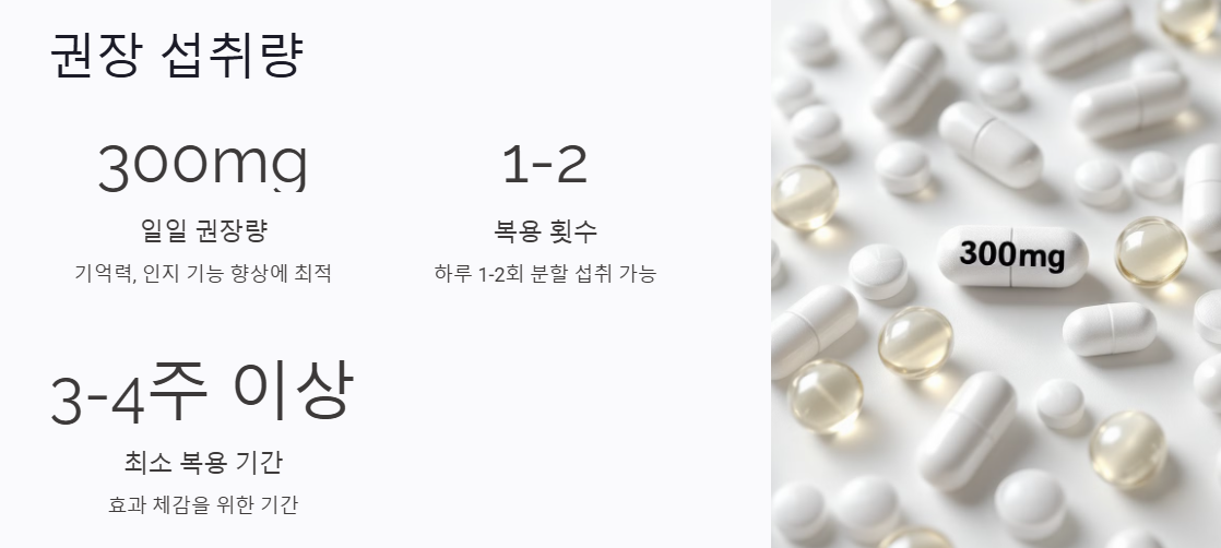 포스타티딜 세린 권장 섭취량