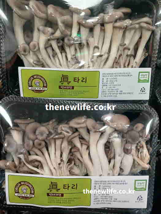 느타리버섯 효능 센 불 단시간
